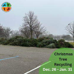 Christmas Tree Recycling