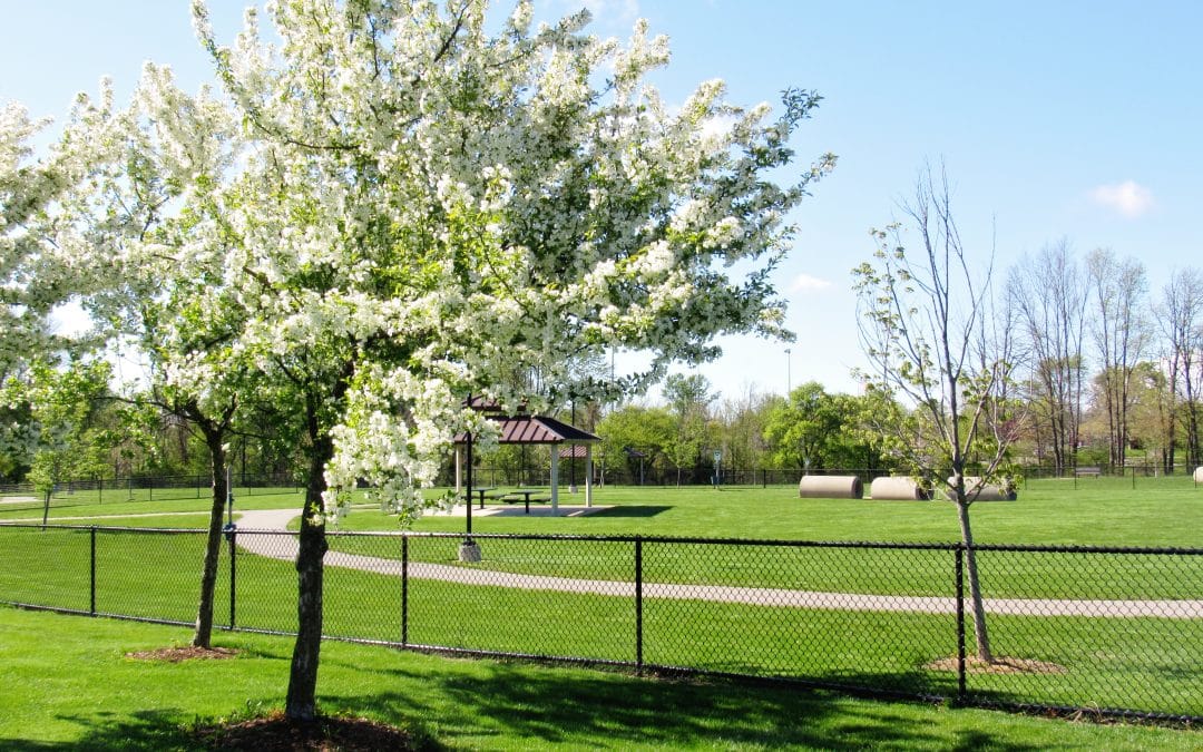 Helder Park Dog Park