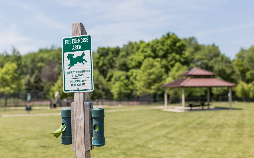 Dog Parks Open For Season