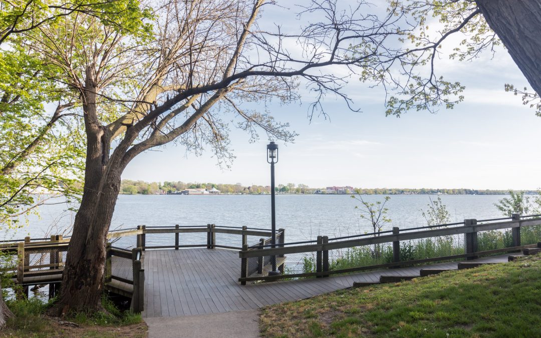 Check Out Dunton Park