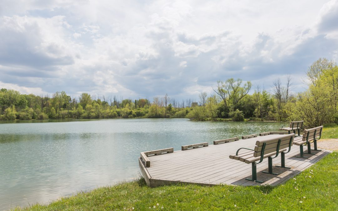 Check Out Hawthorn Pond Natural Area