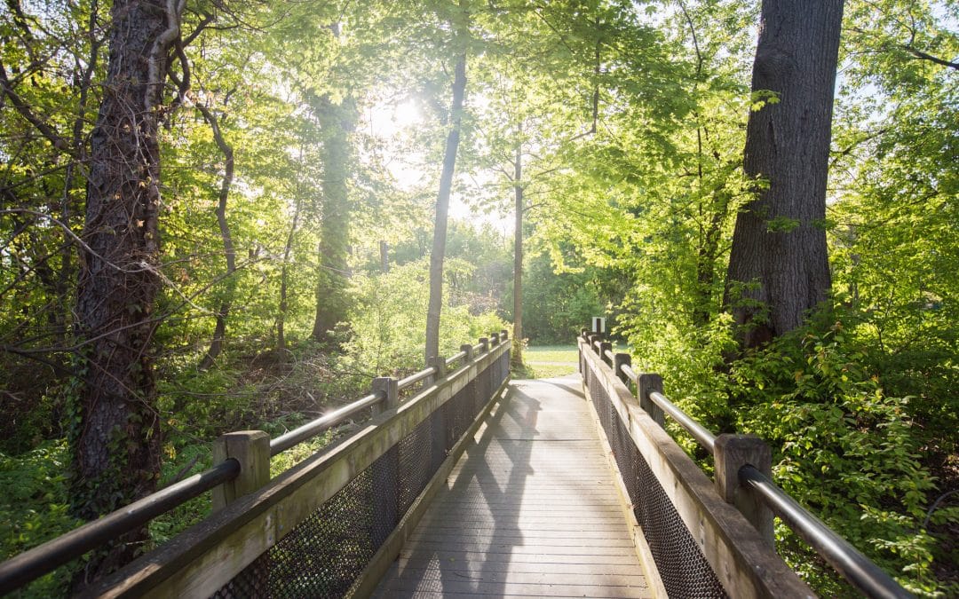Check Out Dunton Park