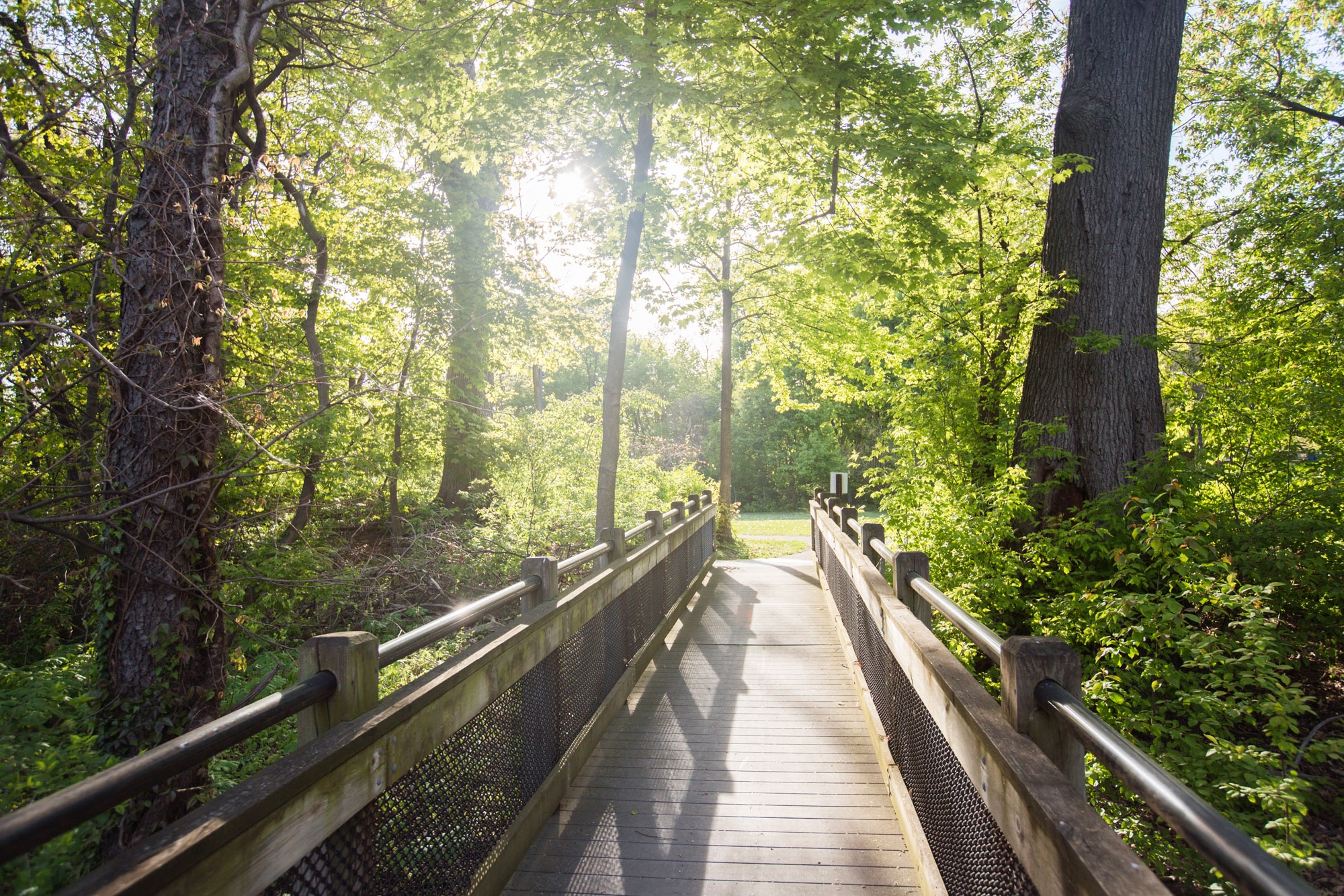 Check Out Dunton Park
